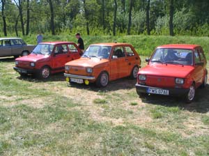 Dni Ziemi Wolsztynskiej 02 05 2009 (139)